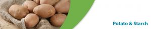 pmc-ouvrie-defoamers-potato-starch